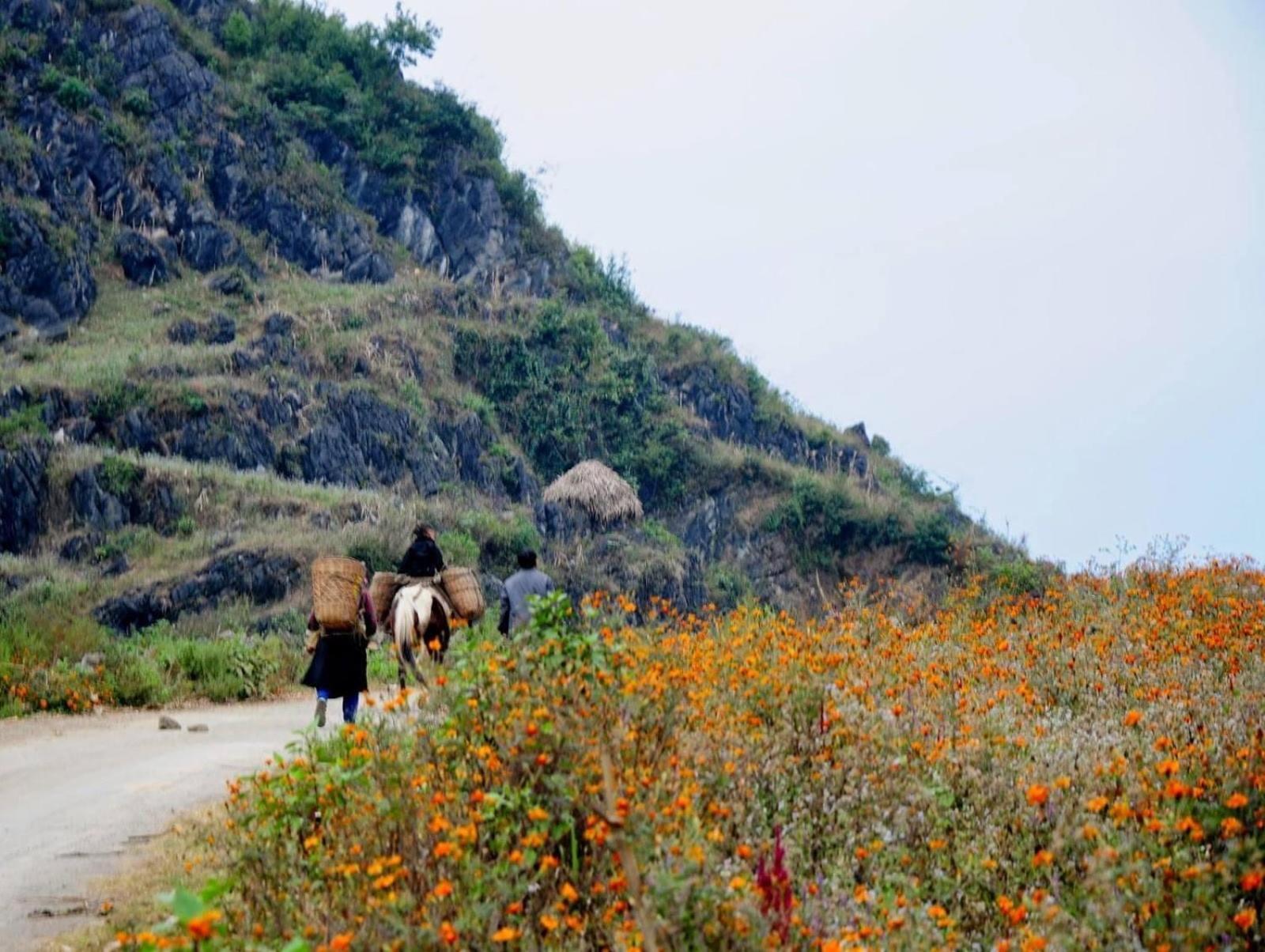 Hang Thuong Hostel - Motorbikes And Tour Ha Giang Bagian luar foto